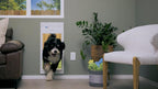 New, Power Pet Automatic ROLL UP Door by High Tech Pet Brand - Image 3