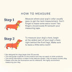 Lucy & Co. Cute Reversible Dog Harness Walking Halter - Image 8