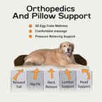 Small Dog Bed Orthopedic Washable Cat Bed Memory Foam Small Couch Sofa Indoor - Image 3