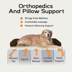 Dog Bed Medium Size Dog-Orthopedic Waterproof Bed - Image 3