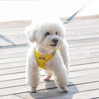 AIITLE Comfortable Dog Harness and Leash Set - Image 9