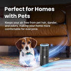 LabCharge Compact Air Purifier - Image 3