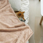 Onarway Dog Blanket Washable for Puppy: 4 Packs Dog Blankets 28”x20” - Image 2