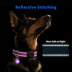 Reflective Dog Collar for Extra Small Dogs - Image 3