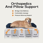 Large Dog Bed Orthopedic Washable - Image 3