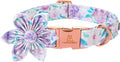 Lionheart Glory Purple Dog Collar by LionheartGlory