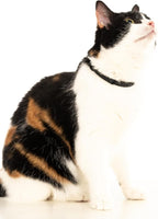 Silicone Cat Collar - Image 8