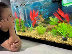 Aquarium Stone for Natural Water Clarification and Odor Removal Featuring - Image 9