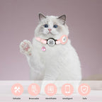 Cat Collar with Name Tag Breakaway: Kitten Collars - Image 5