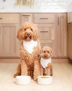 Remy+Roo Sand Silicone Dog Food Mat - Image 2