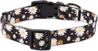 QQPETS Adjustable Soft Dog Collar: Print Flower Pink Multicolor Cute Patterns - Image 5