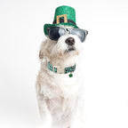 St Patricks Day Dog Collar for Large Dogs - Image 5