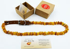 Amber Collars for Dogs & Cats - Image 9