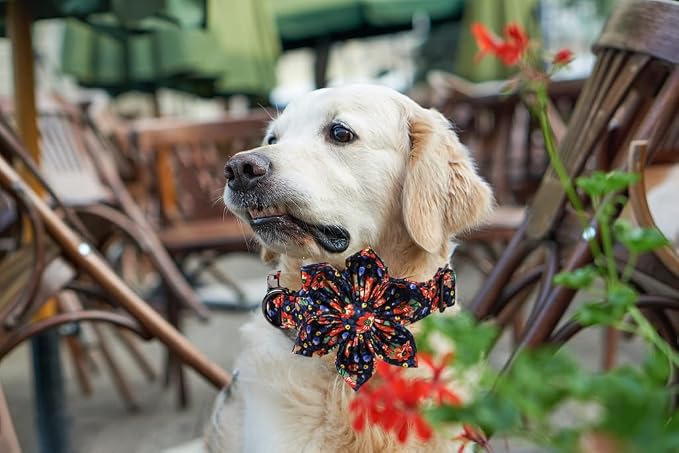 Lionheart Glory Cute Floral Pattern Pet Collar - Image 6
