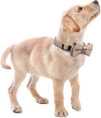 Faleela Soft &Comfy Bowtie Dog Collar, Detachable and Adjustable Bow Tie Collar - Image 6