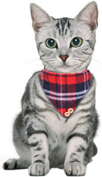 Faleela Breakaway Cat Collar - Image 6
