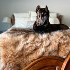 PupProtector Waterproof Throw Blanket - Image 3