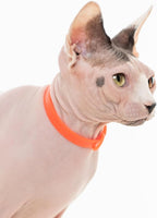 3 Pack Breakaway Cat Collar - Image 6