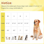 Yellow Dog Collar for Large Dogs, Spring & Summer Theme Large Dog Collars - Image 2