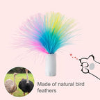 ORSDA 12Pcs Interchangeable Attachments Cat Feather Toys Replaceable Feathers - Image 2