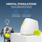 ALL FOR PAWS Automatic Dog Ball Launcher for Medium to Large Dogs, Interactive - Image 2