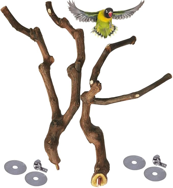 PINVNBY Natural Parrot Perch Bird Stand Pole Wild Grape Stick Paw Grinding Fork - Image 7