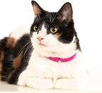 3 Pack Breakaway Cat Collar - Image 7