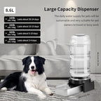 Marchul 2.3 Gallon Dog Water Dispenser, Large Dog Water Bowl Dispenser - Image 6