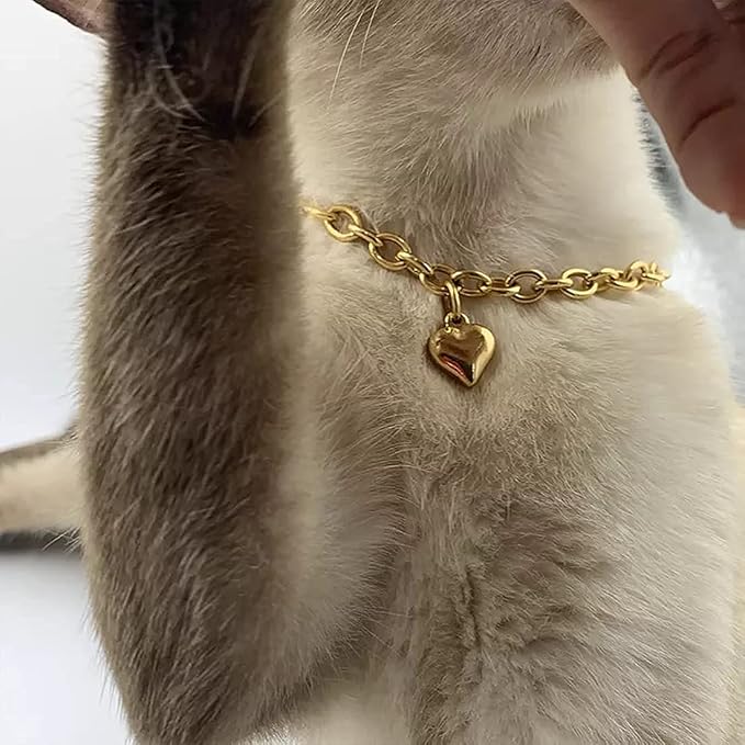 HOWWFALY Dog Collar and Cat Chain Necklace Stainless Steel Adjustable 18K Gold - Image 6