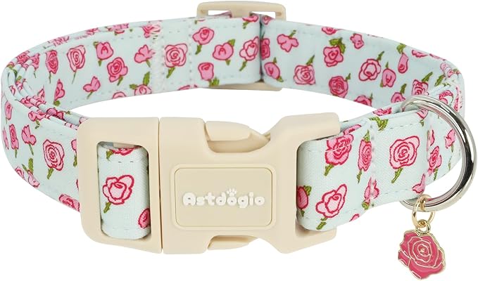 Dog Collar for Extra Small Dogs, Spring &Summer Theme Blue Small Dog Collars by Unknown