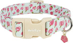 Dog Collar for Medium Dogs, Spring &Summer Theme Blue Medium Dog Collars by Unknown