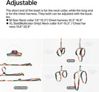pidan Cat Harness and Leash Set, XL Size - Image 4