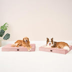 EHEYCIGA Orthopedic XXL Dog Beds - Image 9