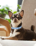 Dynmeow Soft and Breathable Cotton Dog Collar, Durable Adjustable Boy Pet Collar - Image 7