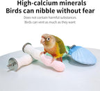 Bird Perches for Cage, Abrasive Surface High Calcium Mineral Parrot Perch Stand - Image 5