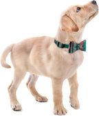 Faleela Cute Soft Girl Christmas Dog Collar - Image 5
