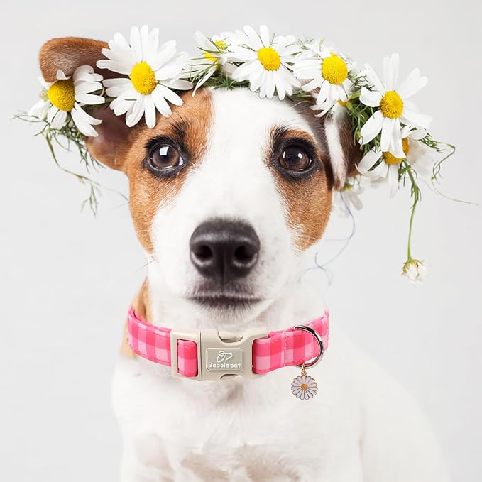 Girl Dog Collar for Puppy Small Dogs - Image 7
