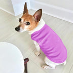 Custom Dog Clothes Shirts for Small Large Dogs Breathable Pet Shirt Customized - Image 5