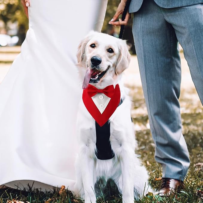 Dog Tuxedo, Formal Dog Wedding Bandana Adjustable Pet Collar - Image 5