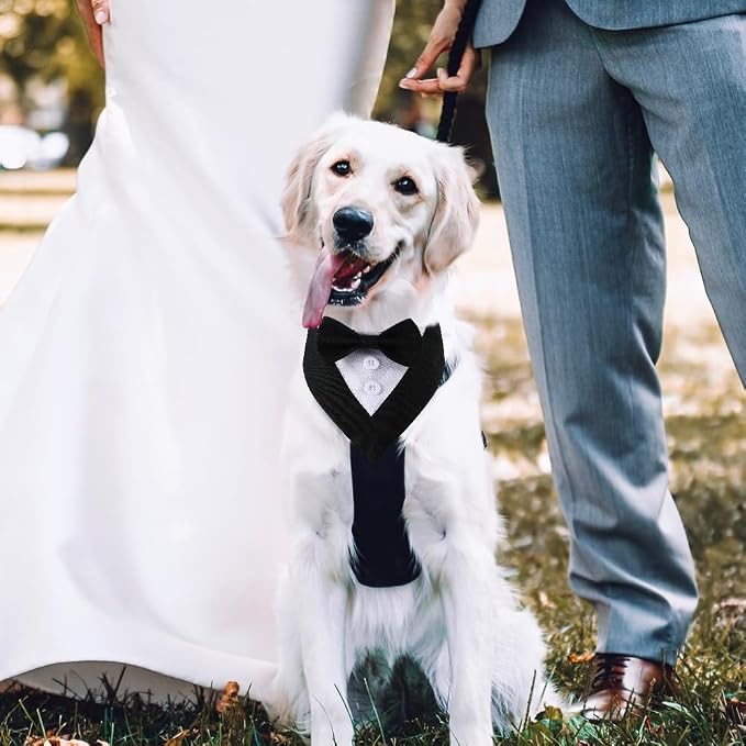Dog Wedding Bandana, Formal Dog Tuxedo Adjustable Pet Collar - Image 4