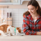2PCS Breakaway Cat Collars - Image 2