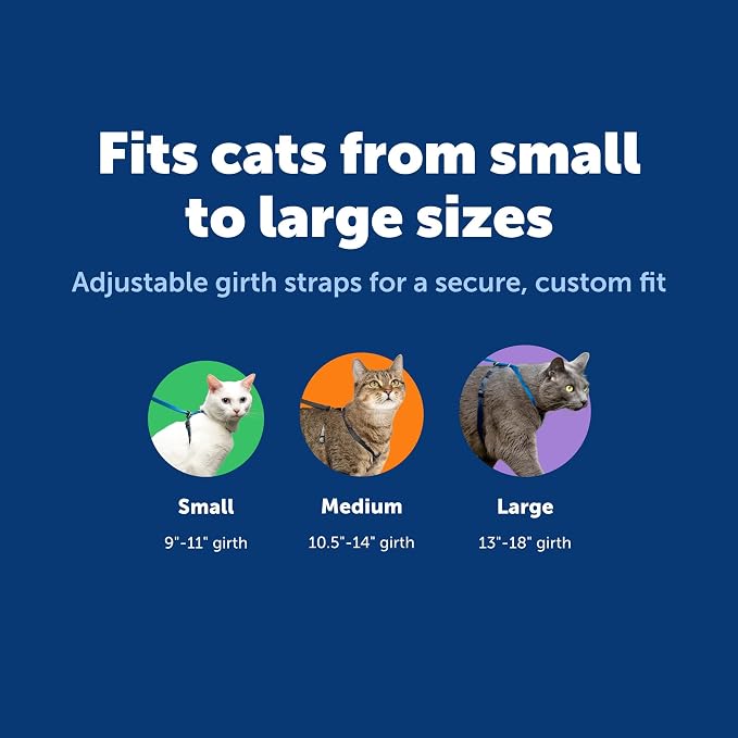 PetSafe Come With Me Kitty Harness and Bungee Leash - Image 6