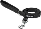 Best Pet Supplies Voyager Reflective Dog Leash or Collar by BestPetSuppliesLLC