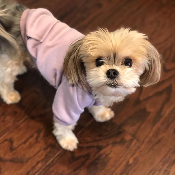 Jecikelon Winter Dog Hoodie Sweatshirts - Image 5
