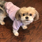 Jecikelon Winter Dog Hoodie Sweatshirts - Image 5