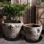 2 Pack of 18 19 inch Plant Saucer, 2.7" Depth Tray, Large Deep Garden Plastic - Image 4