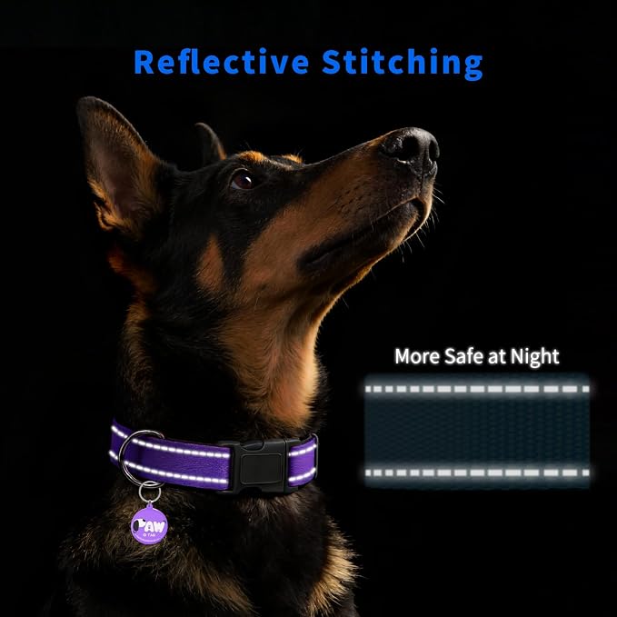 Reflective Dog Collar for Large Dogs - Image 3