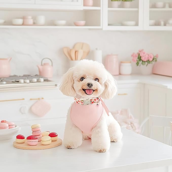 Strawberry Dog Collar for Large Dogs - Image 5