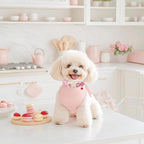 Strawberry Bow Dog Collar for Puppy Small Dogs - Image 6