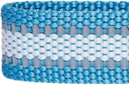 Blueberry Pet Essentials Reflective Dog Collar - Image 7
